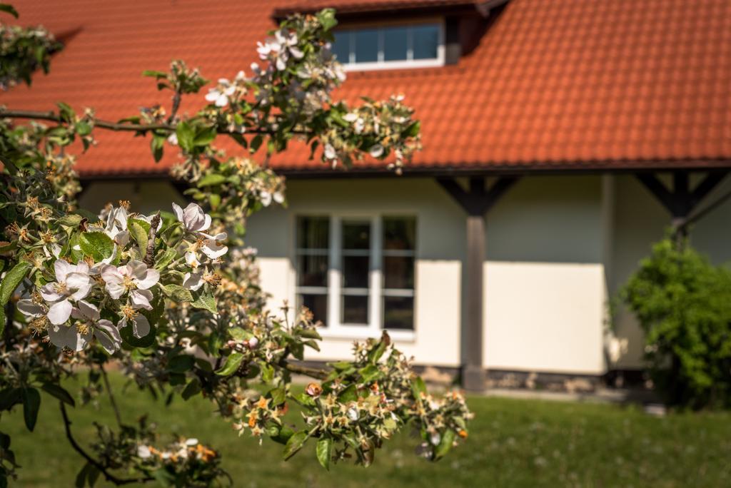 Karkles Villa - Prie Juros Bagian luar foto